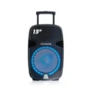 Corneta AIWA / Sistema de audio / 15" / Sin Batería - Imagen 1