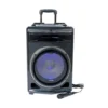 Corneta Aiwa 500W - Sistema de Audio con Micrófono / AWPOK8T