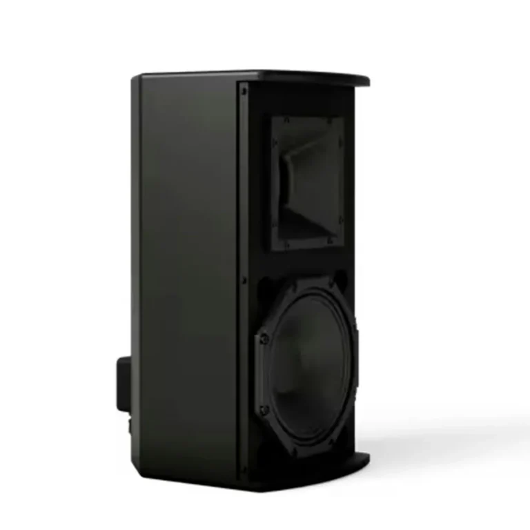 Altavoz Bose ArenaMatch AMU108-120 893798-0100 - Black